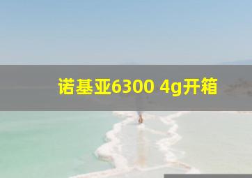 诺基亚6300 4g开箱